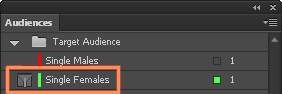 Audience_-_Filtered_audience.png