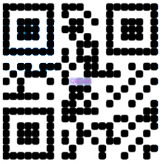 Barcode Options
