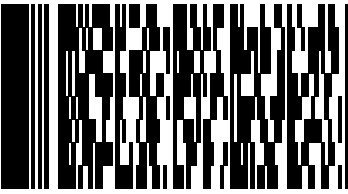 Barcode_PDF417Trunc.png