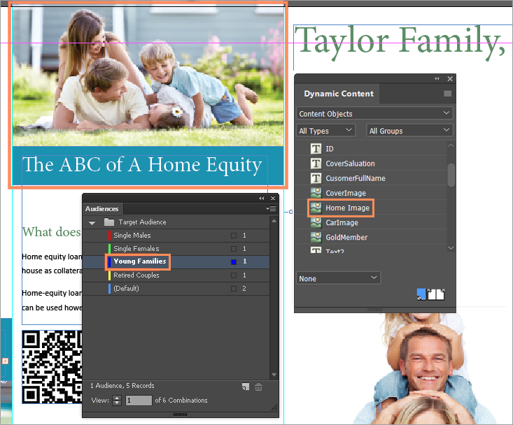 Audience_-_HomeImage_example.png